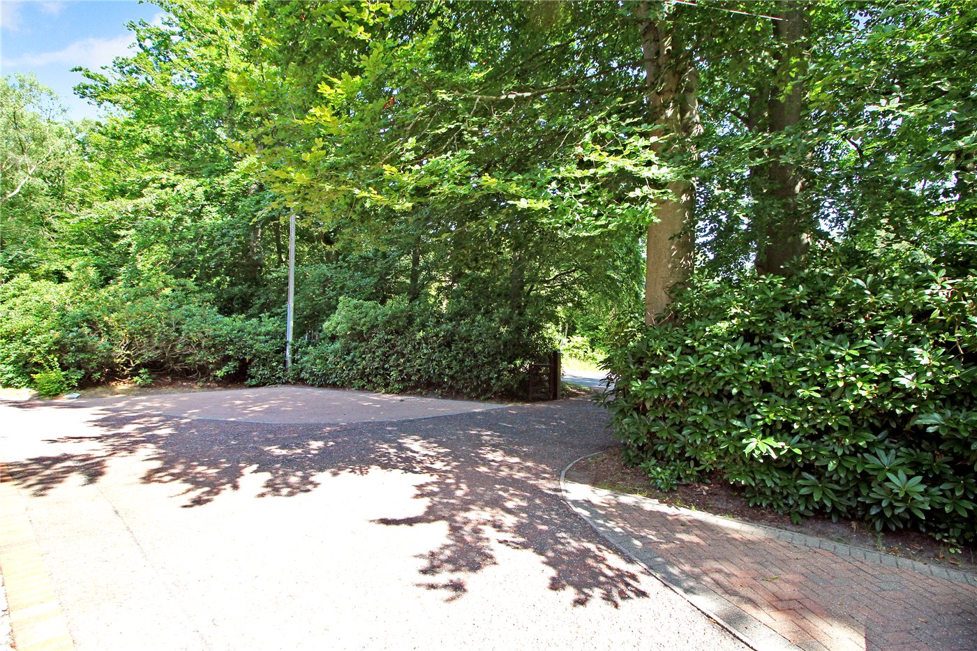 Driveway